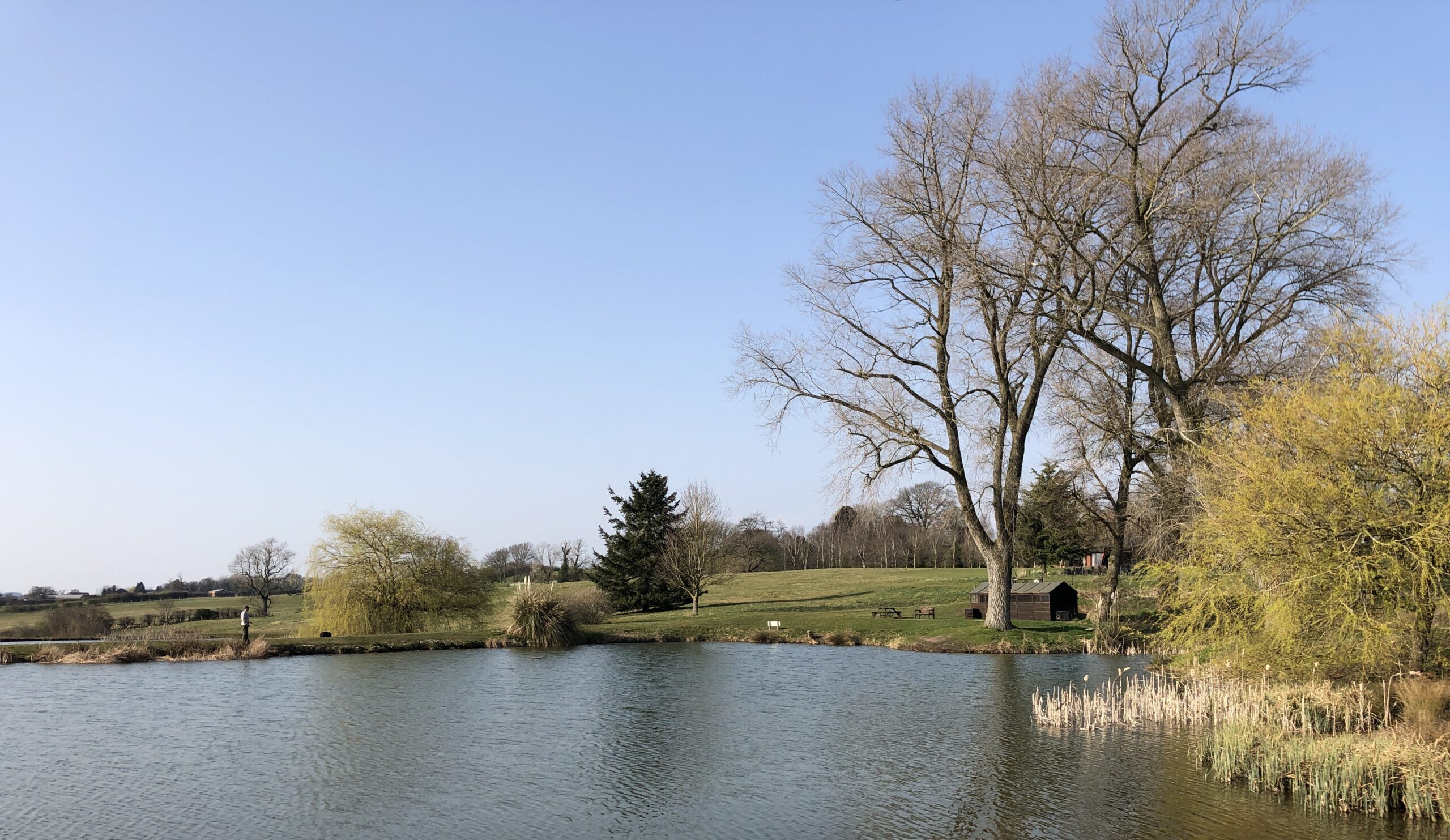 Mid Spring 2022 Fishing Update!