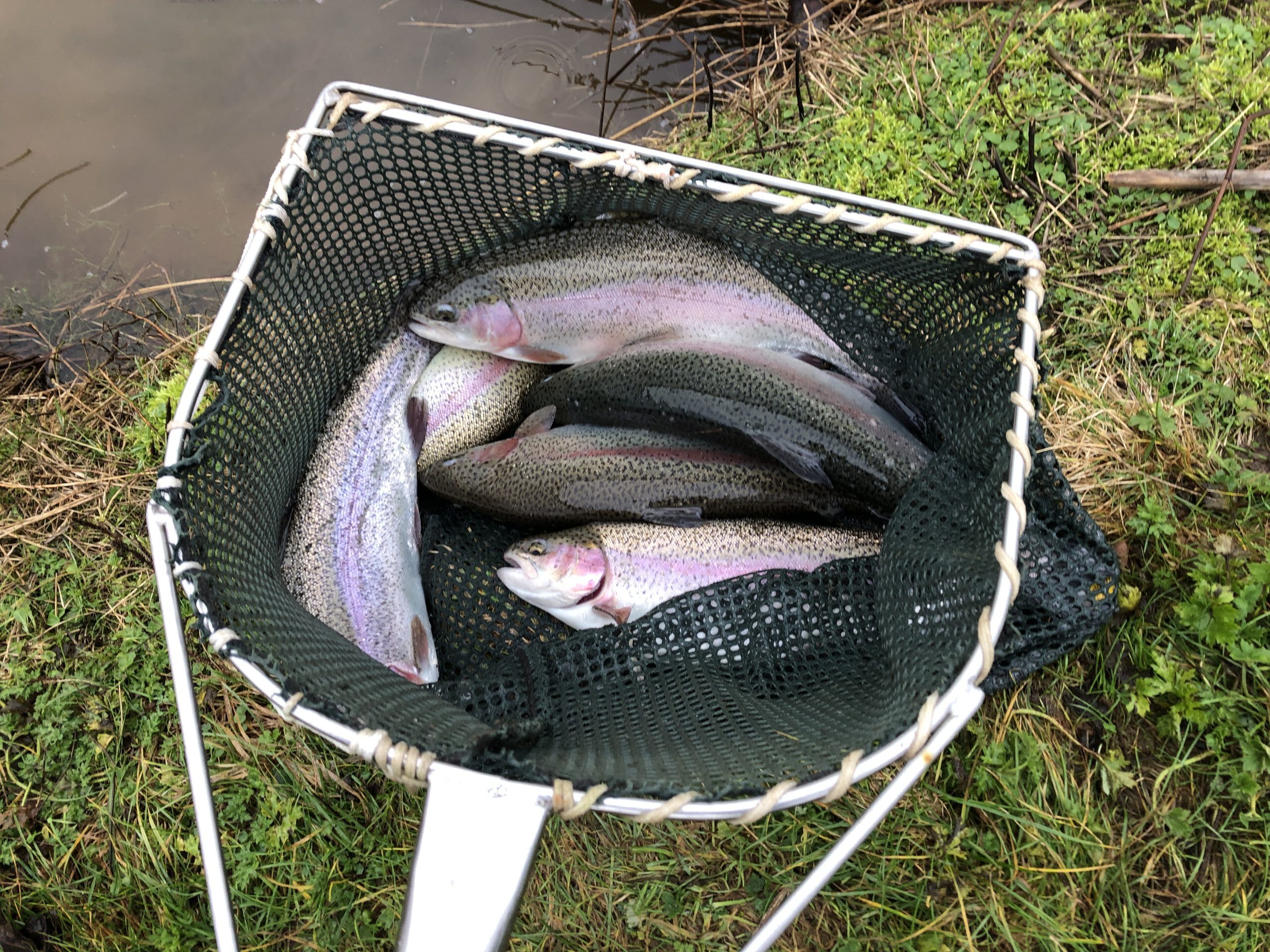 Late Summer Fishing Report