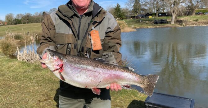13lb Spring Rainbow Trout